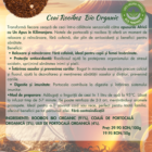 descriere-preparare-ceai