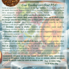 descriere-preparare-ceai